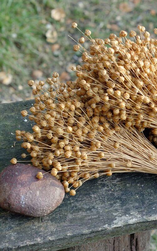 Olej lniany, budwigowy - olej z nasion lnu (250ml) - obrazek 5